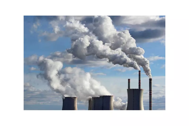 Green Shipping: Africa's Untapped Path to Economic & Environmental Transformation