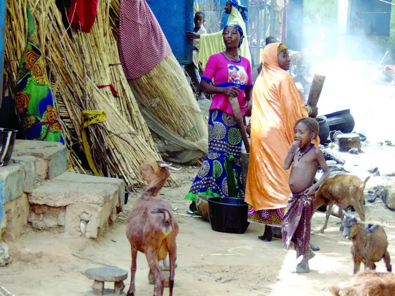 Niger LG Polls: IDPs and Riverine Communities Get Voting Access in Landmark Inclusion Move