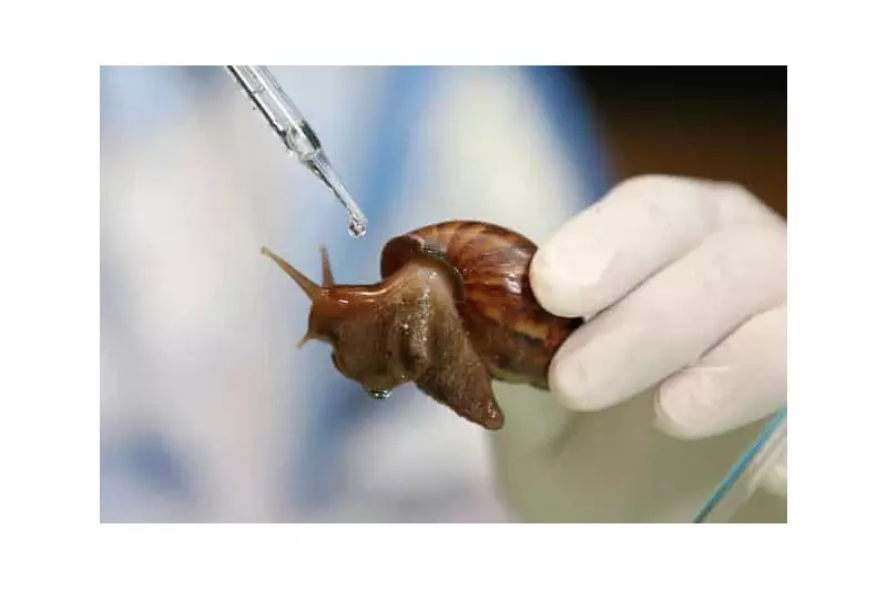 Nigerian Scientist Makes Arthritis Breakthrough Using Snail Mucus Extract