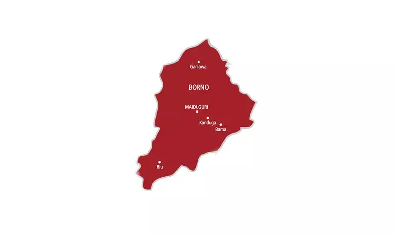 Tragic Mix-Up: Hunter's Bullet Claims CJTF Member in Borno Friendly Fire Incident