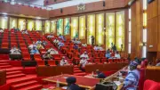 BREAKING: Nigerian Senate Pushes for National Autism Centers Nationwide - Major Win for Neurodiversity