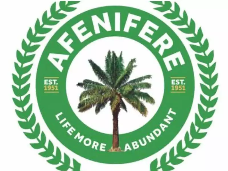Afenifere Joins Trump in Condemning Foreign Meddling, Intensifies Call for State Police in Nigeria