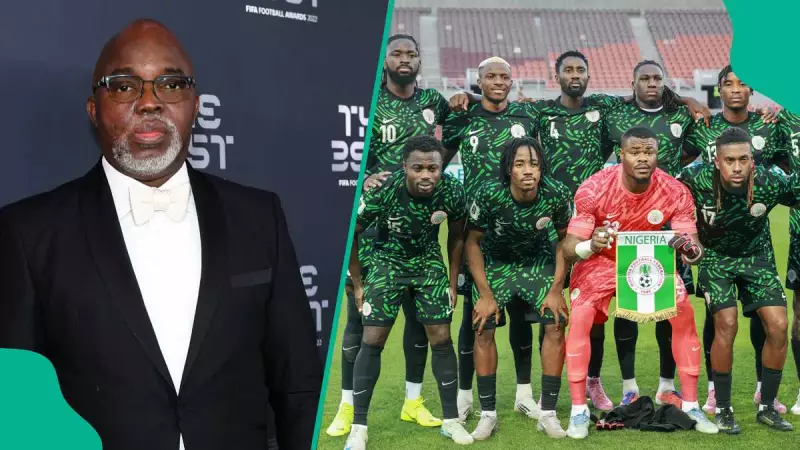 Amaju Pinnick Blames Nigerians for Super Eagles' World Cup Failure