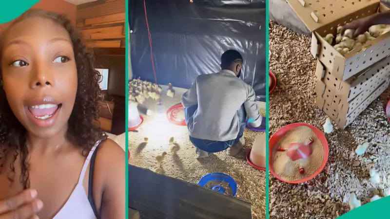 American Lady Relocates to Ghana, Invests in Boyfriend's Poultry Business