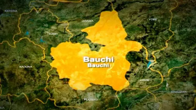 Bauchi Governor Declares Nov 28 Public Holiday for Sheikh Bauchi