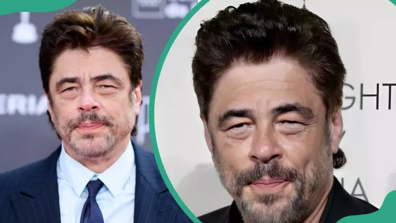 Benicio Del Toro's Love Life: Is He Married? Full Dating History 2025