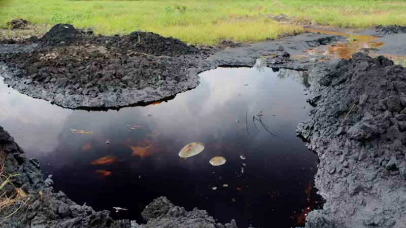 Beyond Cleanup: Nigeria's Bold New Strategy to Finally End Niger Delta Oil Spillage Crisis