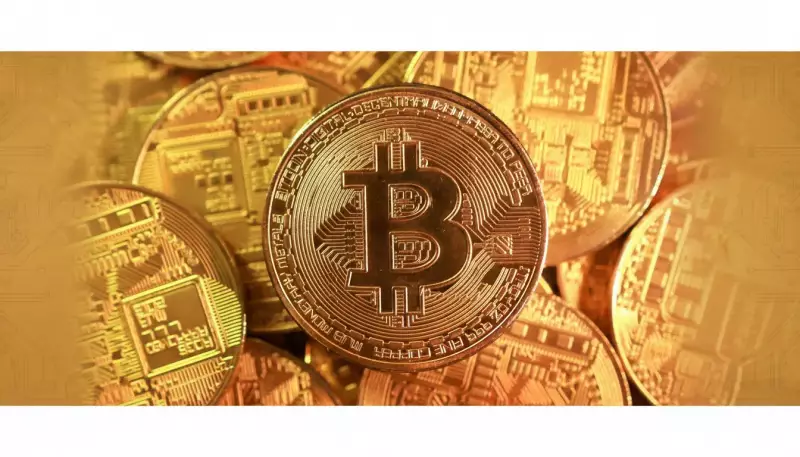 Bitcoin Plunges Below $95K, Hits 6-Month Low