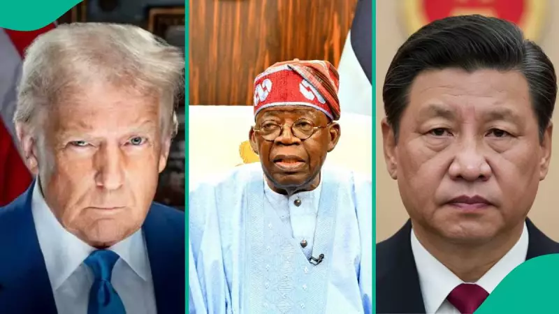 China Issues Strong Warning to Trump Over Nigeria Interference