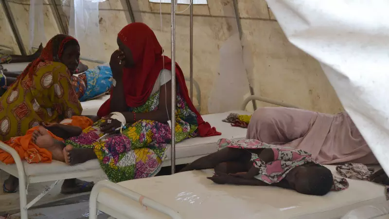Cholera Outbreak Claims 10 Lives in Adamawa: Health Emergency Declared