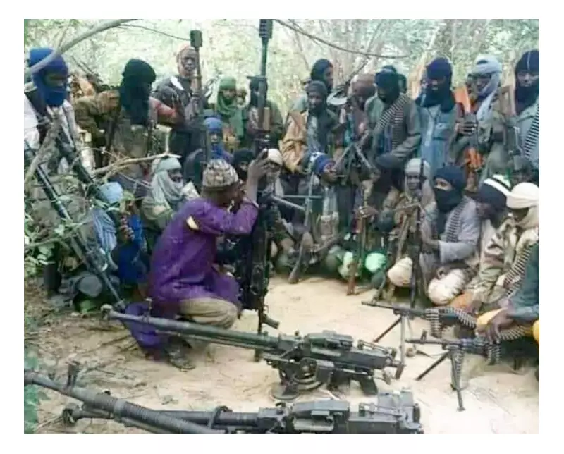 CJTF Vows to End Banditry in One Year With Government Support