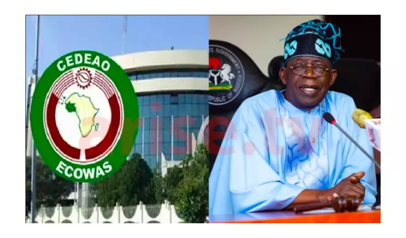ECOWAS Condemns Trump's Nigeria 'Religious Freedom Violator' Designation, Calls for UN Support