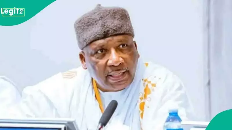 Ex-Minister: Bandits Now Impose Laws, Collect Taxes in Nigerian Communities