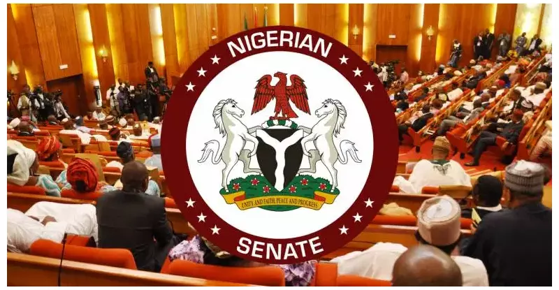 Experts Push for Single 7-Year Term to Fix Nigeria's Political System