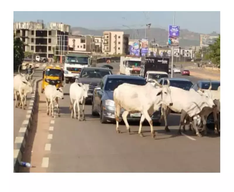 FG Declares Open Grazing a Capital Offence to End Farmer-Herder Crisis