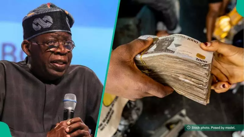 FG Extends NJFP 2.0 Deadline to Nov 16: Apply for N150,000 Monthly Stipend