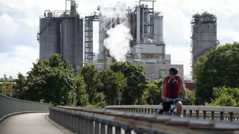 German Experts Slam €500bn Fund, Cut 2026 GDP Forecast