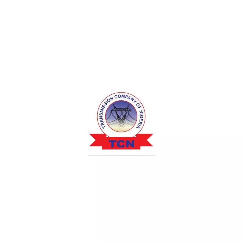 Imo Blackout Crisis: Group Demands Probe Into Power Company