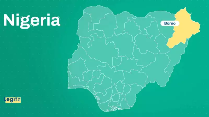 ISWAP Demands N10m Ransom for 13 Teenage Female Farmers in Borno