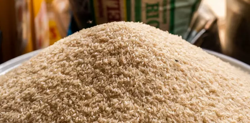 Jigawa Targets 3.6M MT Rice Yearly by 2030 with AfricaRice