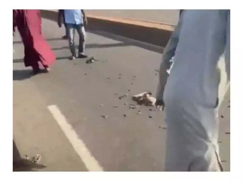 Kaduna Police Recover 210 Rounds of Ammunition on Highway