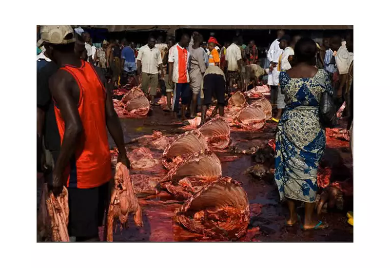 L-PRES Training Transforms Meat Safety in Taraba Abattoirs