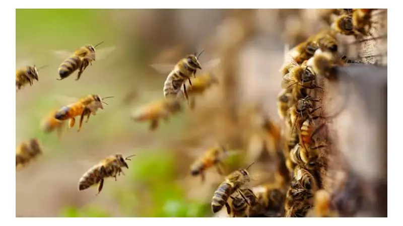 Lagos State Reiterates Climate Action Commitment at Youth Event