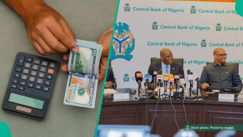 Naira Gains Against Dollar as CBN Reports FX Market Stability