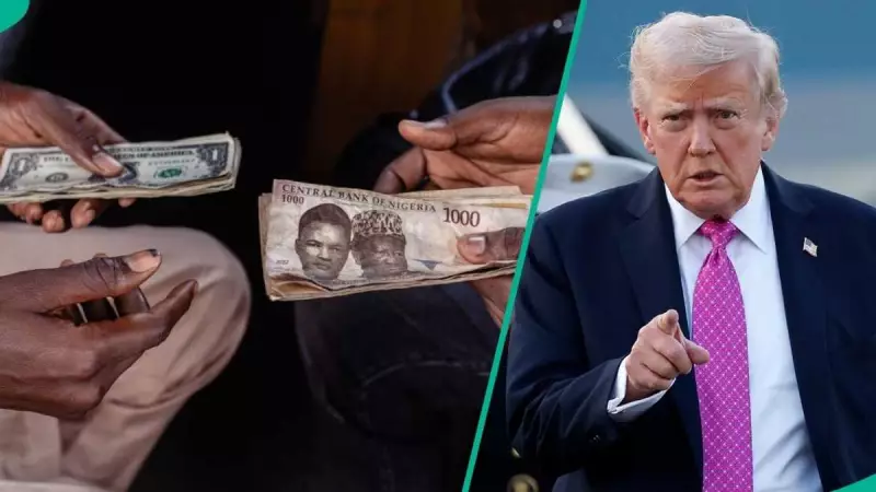 Naira in Freefall: Trump's Victory Sends Nigerian Currency and Stocks Plummeting