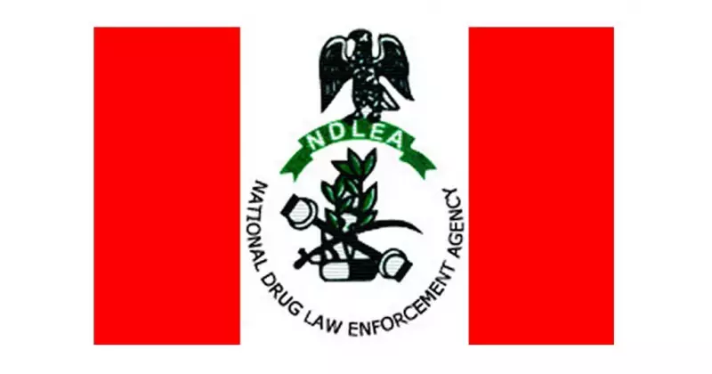 NDLEA Boosts Maritime Drug War with UK Training for Officers