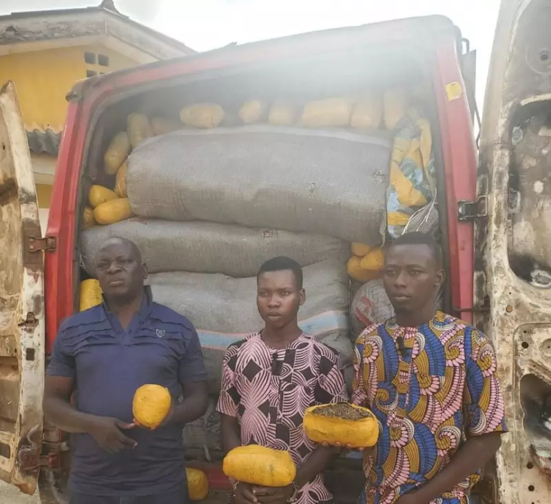 NDLEA Busts Major Drug Ring in Ogun: 1,779kg of Cannabis Seized, Three Suspects Nabbed