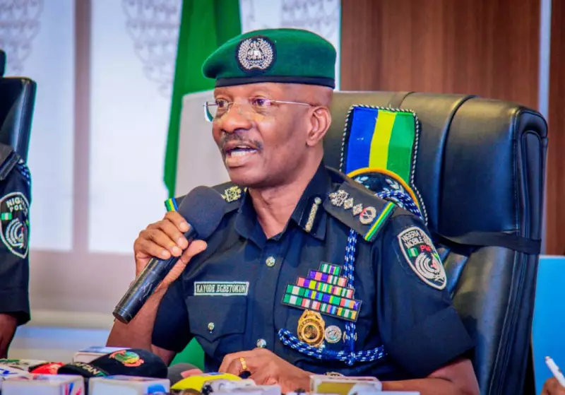 Nigeria Launches Committee to Recruit 30,000 New Police Officers