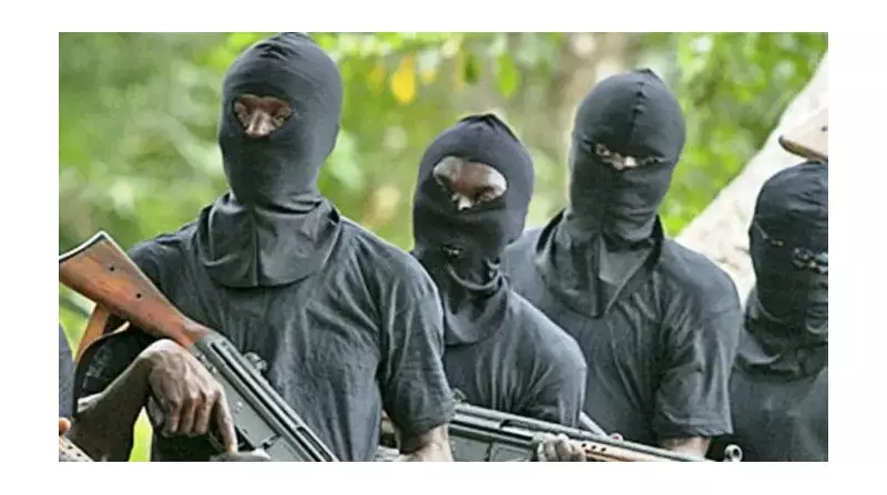 Nigeria Urges UN: Stop 'Naming and Shaming' Over Security Crisis