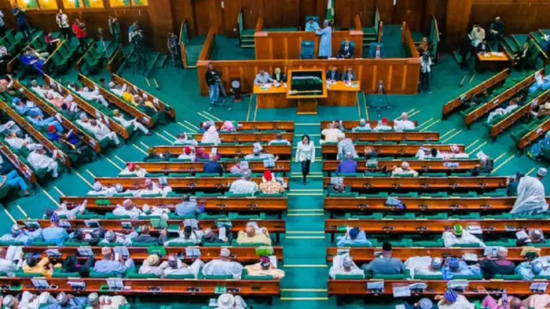 Nigerian House of Representatives Suspends Plenary Over Unpaid Contractors: One-Week Standstill