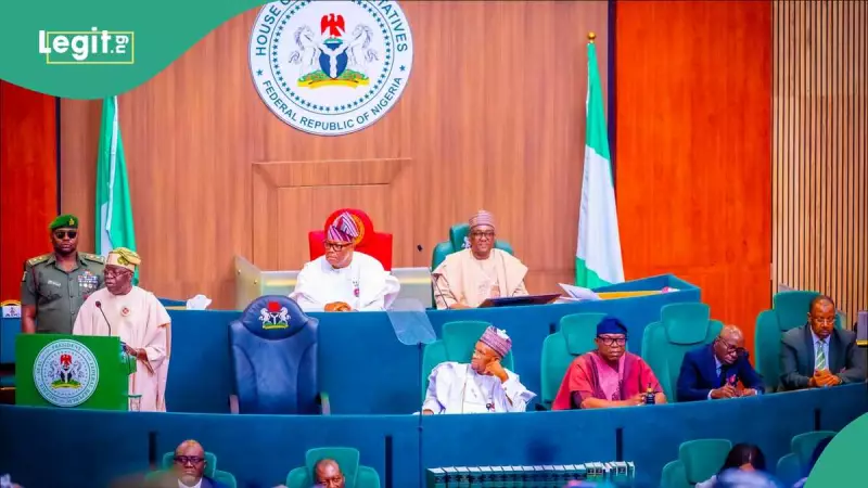 Nigerian Lawmakers Revolt Against Tinubu's Bandit Negotiation Strategy