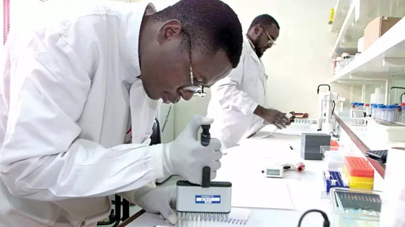 Nigerian-Led Team Creates Biosensor for Explosive Soil Residues