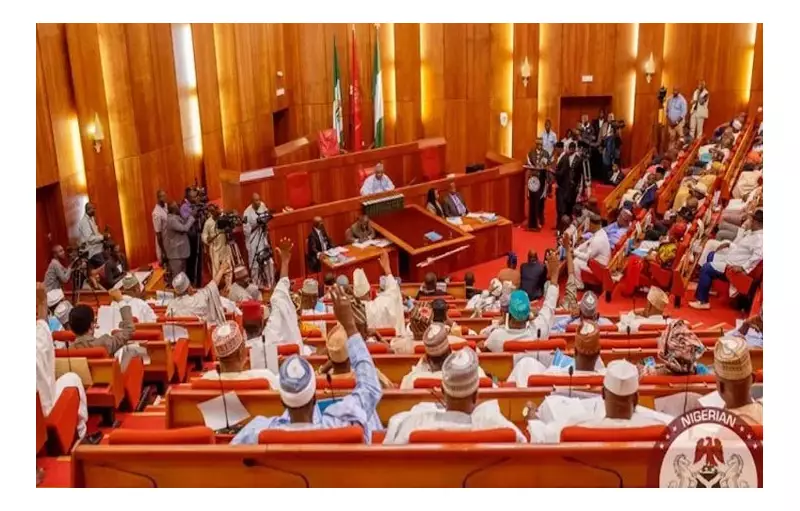Nigerian Senate Exposes Deadly Chemical Contamination in Nation's Food Supply