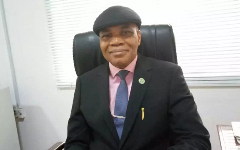 Nigeria's $60bn Logistics Sector Needs Regulatory Commission - CLMI