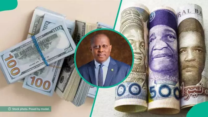 Nigeria's FX Inflows Drop 25% to $672m Despite Naira Gains