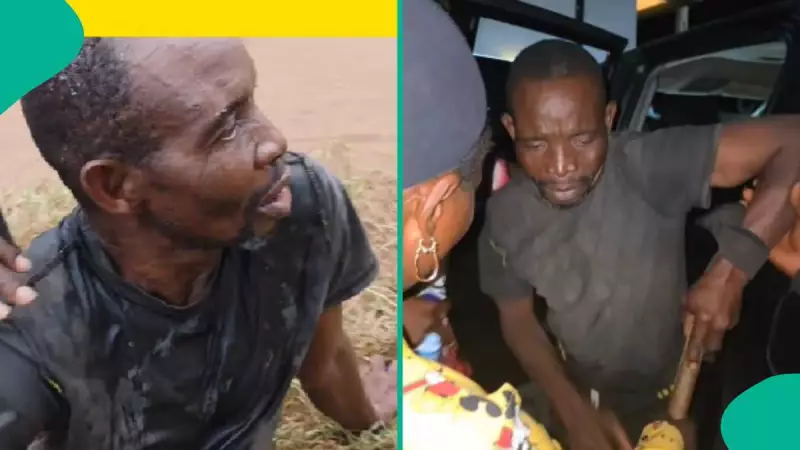 Nigeria's November Kidnapping Crisis: 3 Stories of Rescue and Release