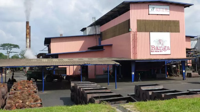 Okomu Oil Palm's PIND Initiative Transforms Edo State Communities with Sustainable Development