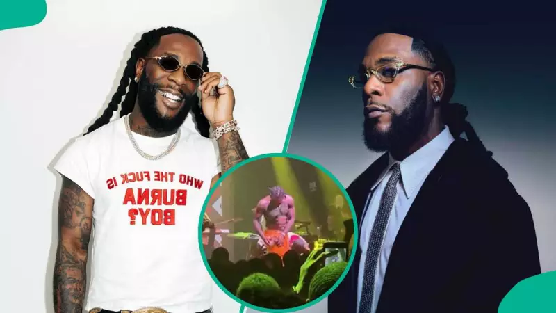 Old Video Shows Burna Boy Ejecting Fan Amid US Concert Backlash