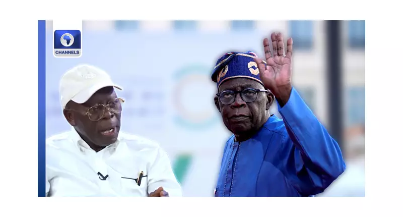 Oshiomhole: Tinubu Making Progress on Security Despite Challenges