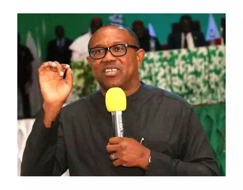 Peter Obi: Nigeria's Future Hinges on Urgent Education Investment