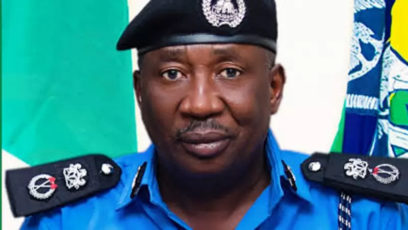 Police Debunk Abduction Report at Owerri Power Substation