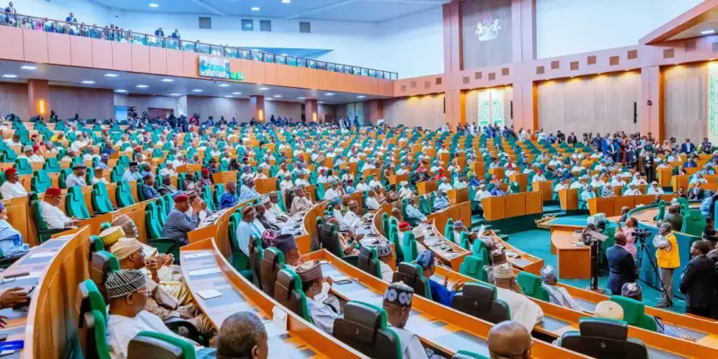 Reps Speaker: Embrace Local Goods for Nigeria's Economic Revival