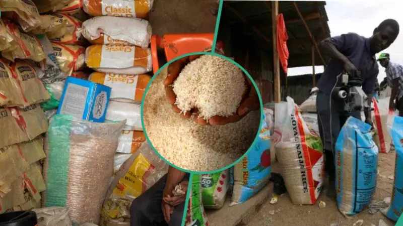 Rice Prices Crash by 40% in Nigerian Markets as Supply Surges