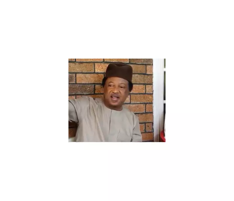 Senator Shehu Sani: Northern Terrorists Are Not Foreigners