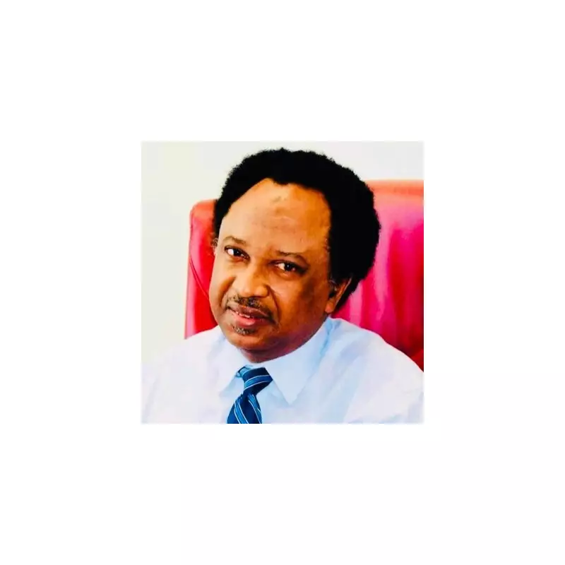 Shehu Sani: Northern Leaders Must Stop Politicizing Insecurity