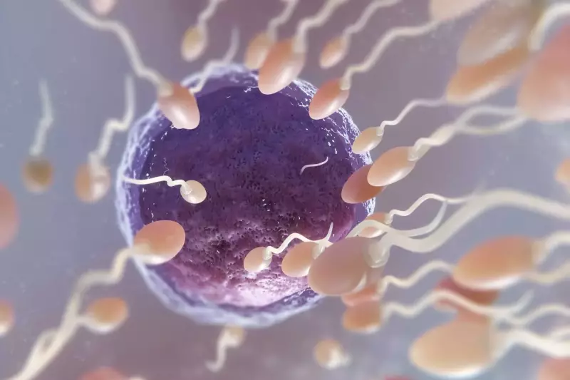 Silent Struggle: 7 Warning Signs of Male Infertility Every Nigerian Man Should Know